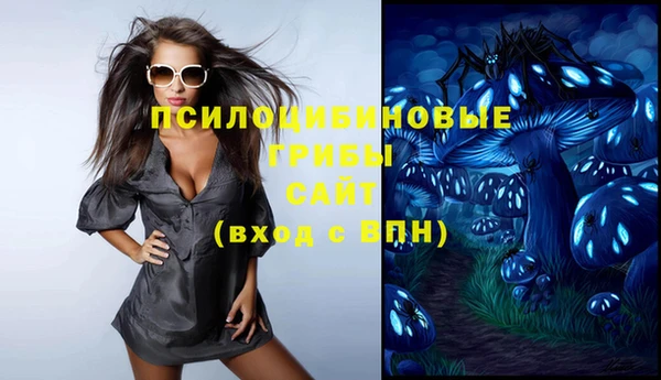 ГАЛЛЮЦИНОГЕННЫЕ ГРИБЫ Арсеньев