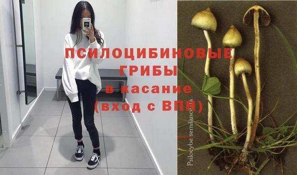хмурый Армянск